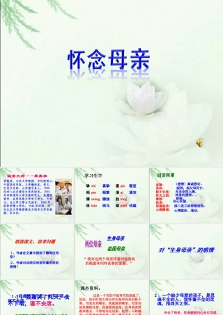 《怀念母亲》教学课件