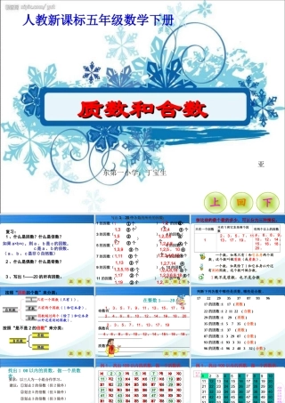 质数和合数_(1)