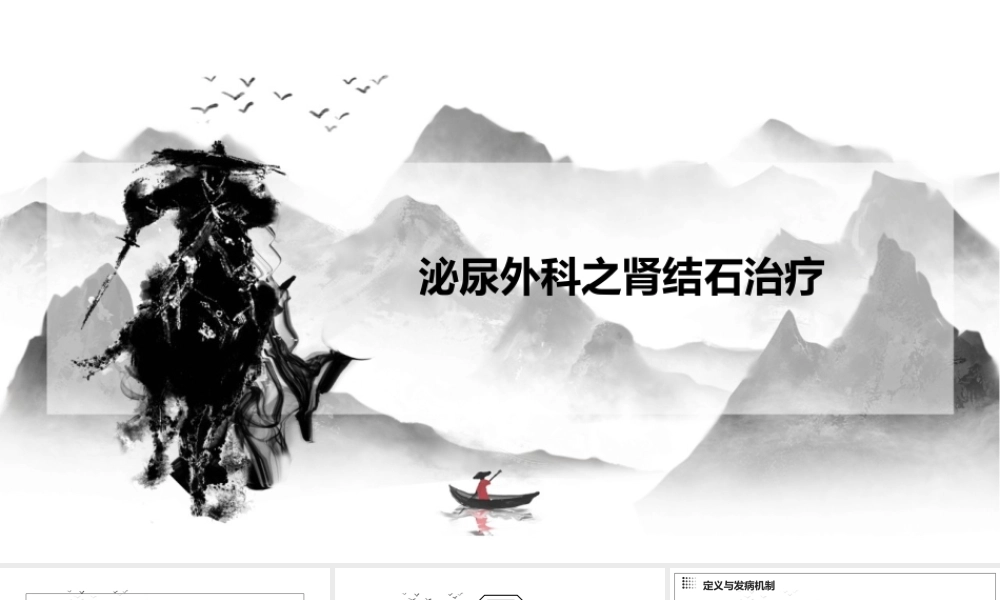 泌尿外科之肾结石治疗