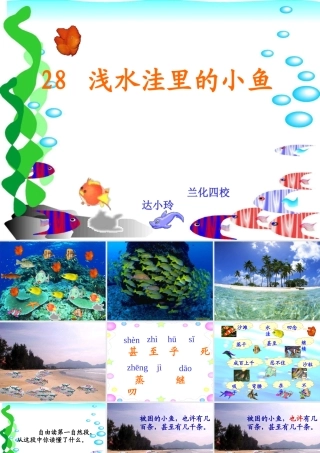 浅水洼里的小鱼(公开 (3)
