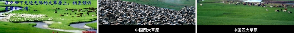 《草原》教学课件 (2)