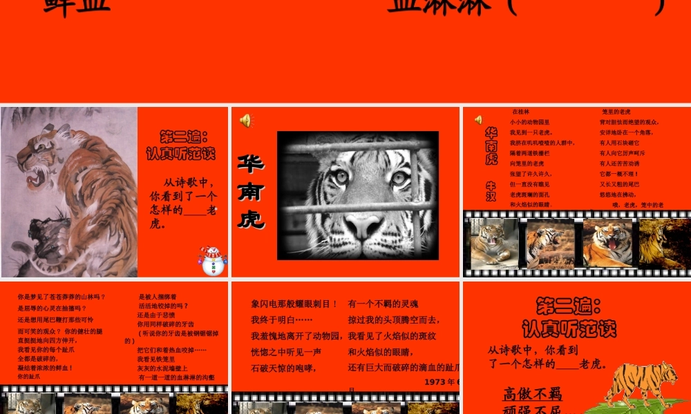 [中学联盟]内蒙古满洲里市第五中学七年级语文下册第六单元《28华南虎》课件（人教版）（共15张PPT）