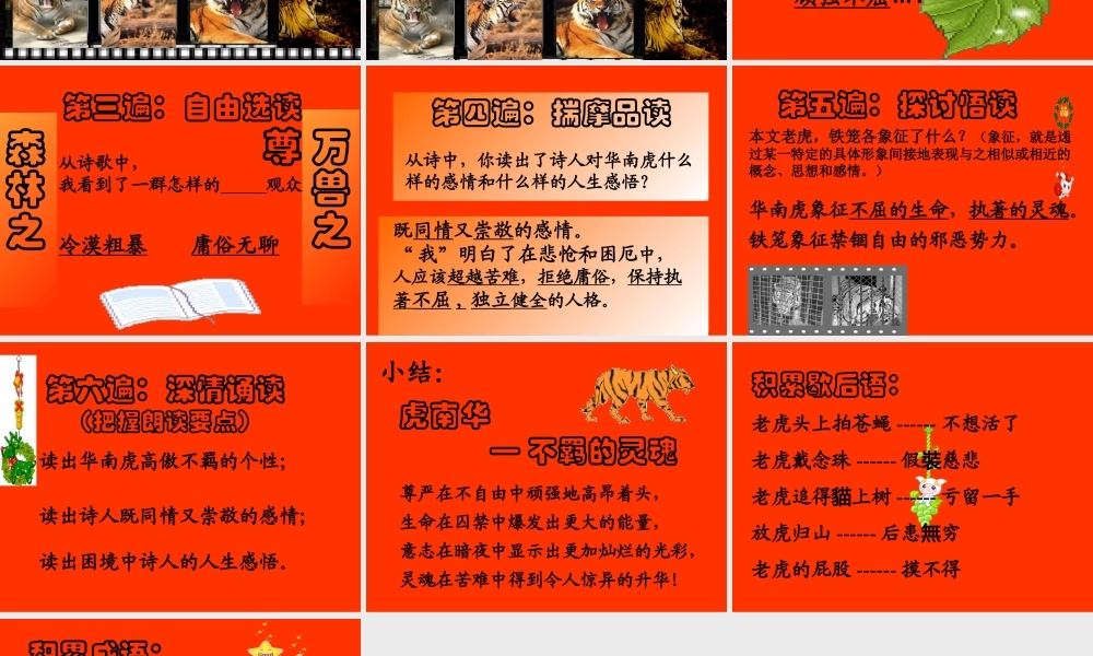 [中学联盟]内蒙古满洲里市第五中学七年级语文下册第六单元《28华南虎》课件（人教版）（共15张PPT）