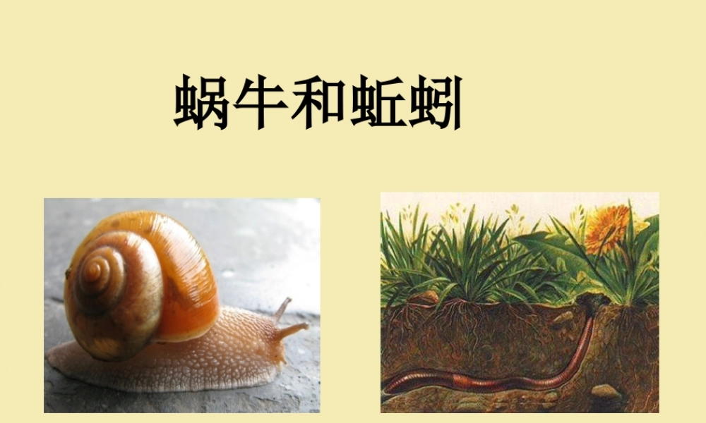 《蜗牛和蚯蚓》教学课件