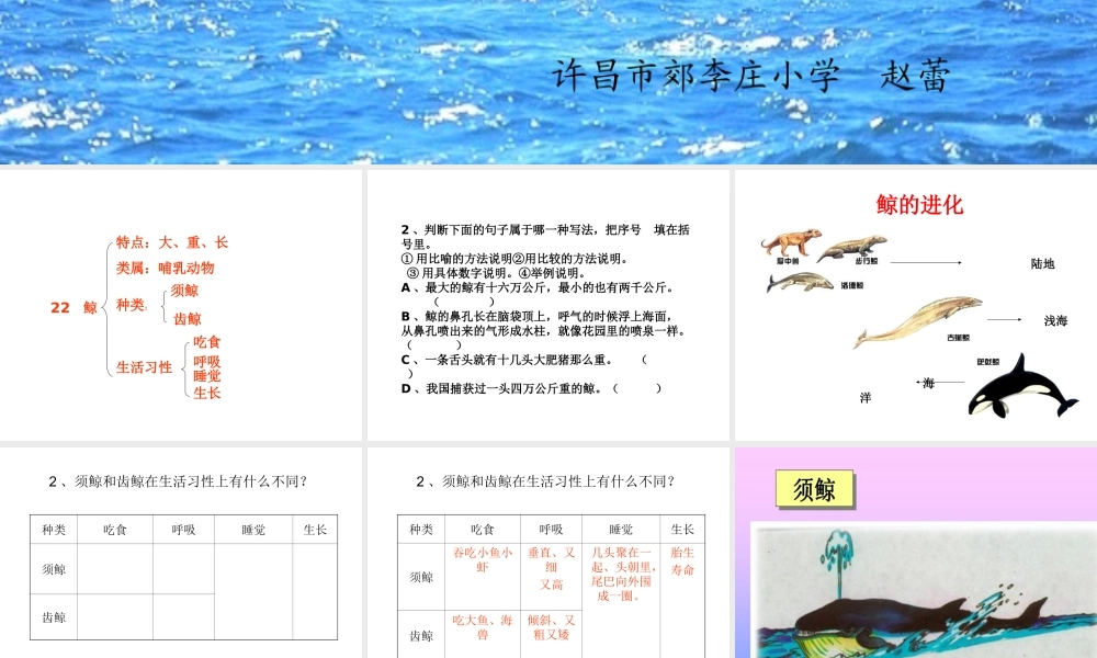 《鲸》教学课件
