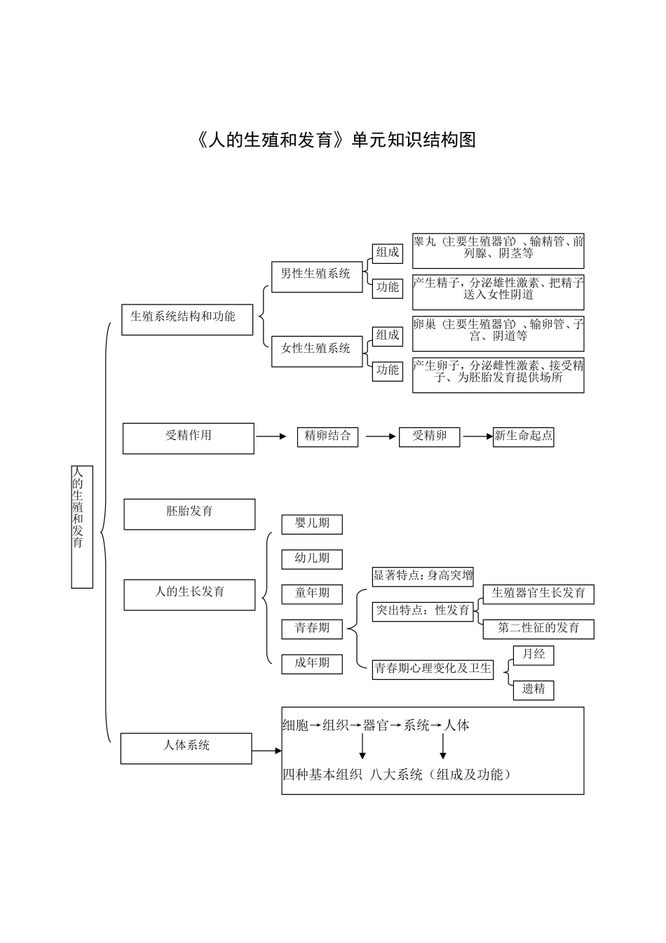 《人的生殖和发育》单元知识结构图_第1页