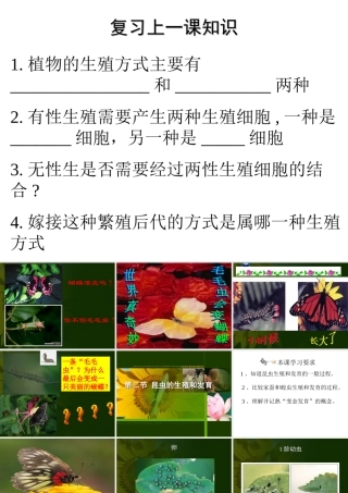 八年级下册人教版生物课件----昆虫的生殖和发育课件