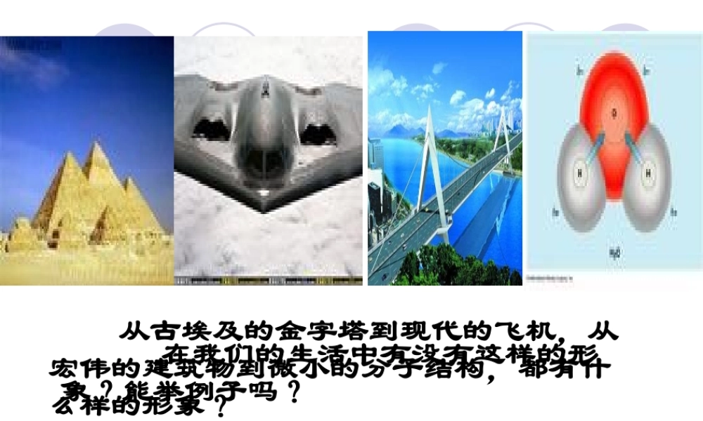 认识三角形李洁