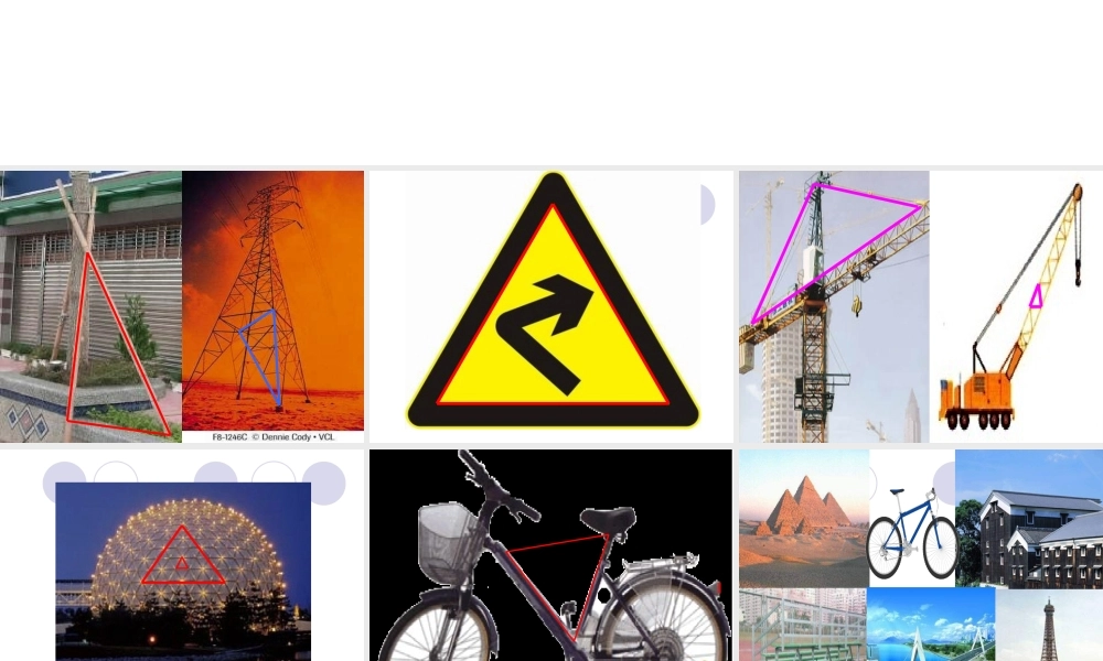 认识三角形李洁