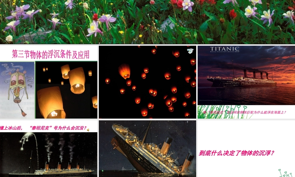 八年级物理第十章第三节物体的浮沉条件及应用课件(修改,