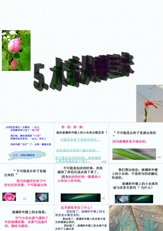 太和贾寨阮坤