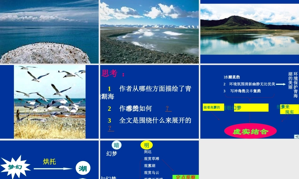 青海湖梦幻般的湖课件