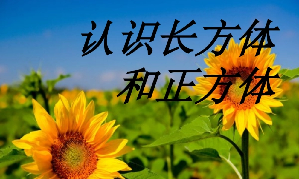 认识长方体和正方体