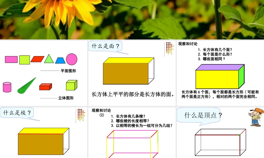 认识长方体和正方体