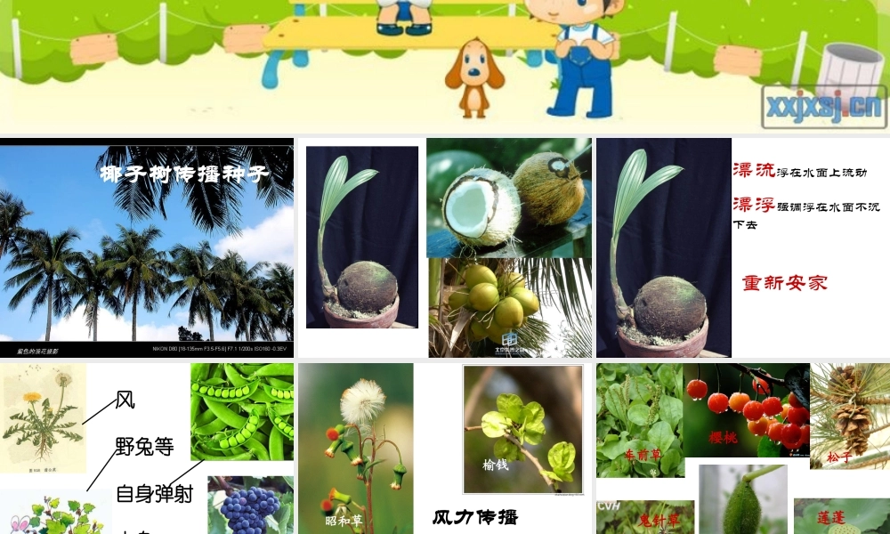 苏教版三上语文练习3