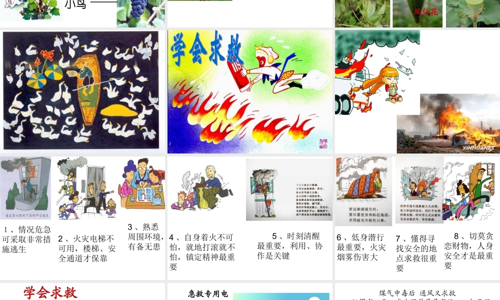 苏教版三上语文练习3