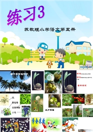 苏教版三上语文练习3