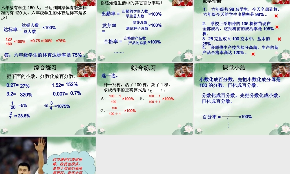 百分率小数分数化成百分数演示文稿