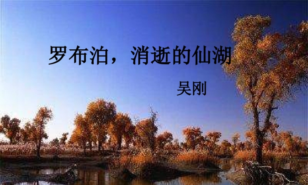 八年级语文罗布泊，消逝的仙湖2