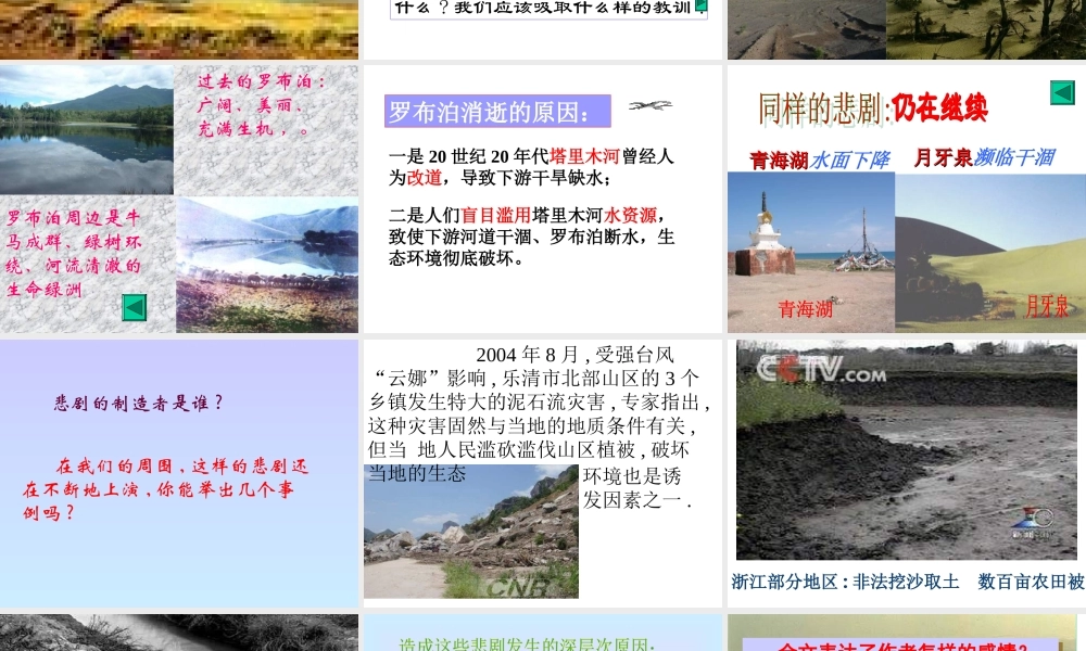 八年级语文罗布泊，消逝的仙湖2