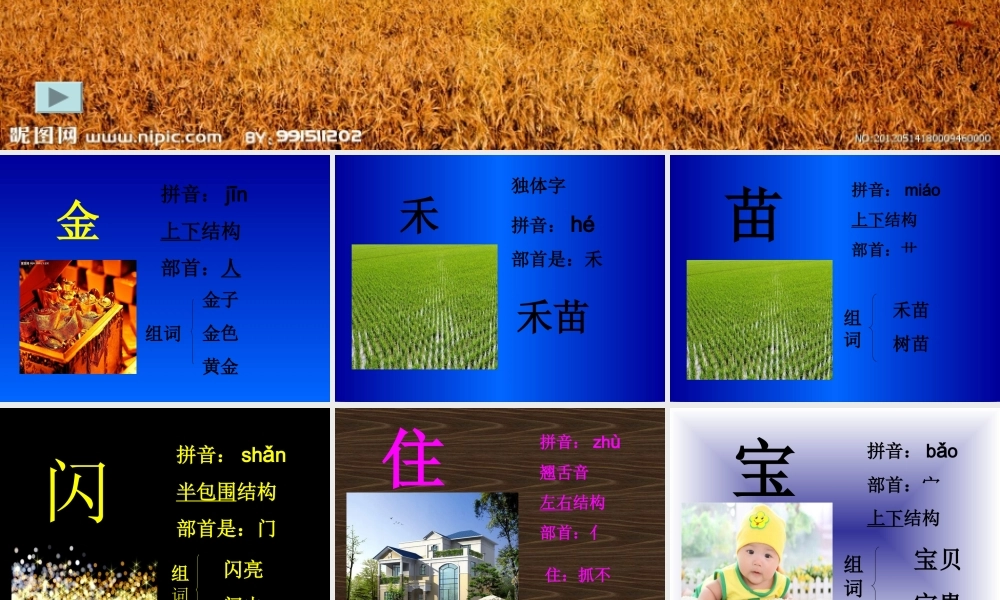 小学语文《阳光》课件