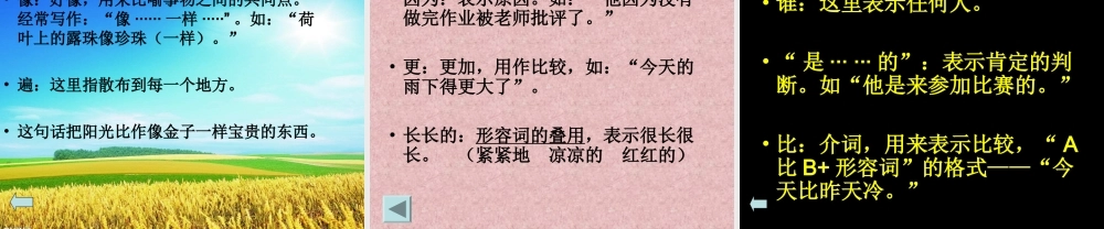 小学语文《阳光》课件