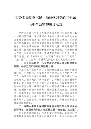 市公安局党委书记、局长学习党的二十届三中全会精神研讨发言