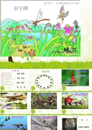 一年级语文下册本册综合复习和测试第一课时课件