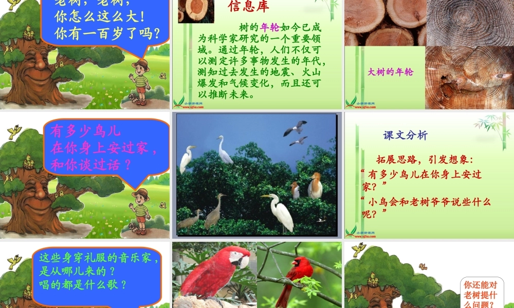 (北师大版)一年级语文下册课件_老树的故事1