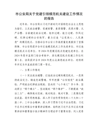 市公安局关于党建引领模范机关建设工作情况的报告