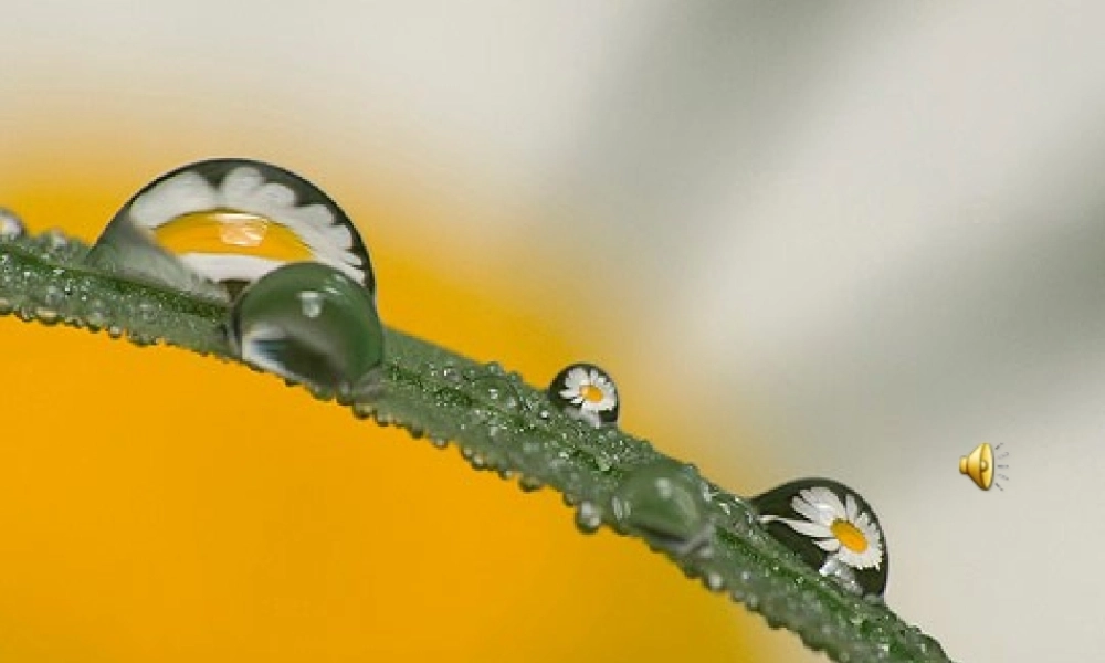 《雷雨》课件1111