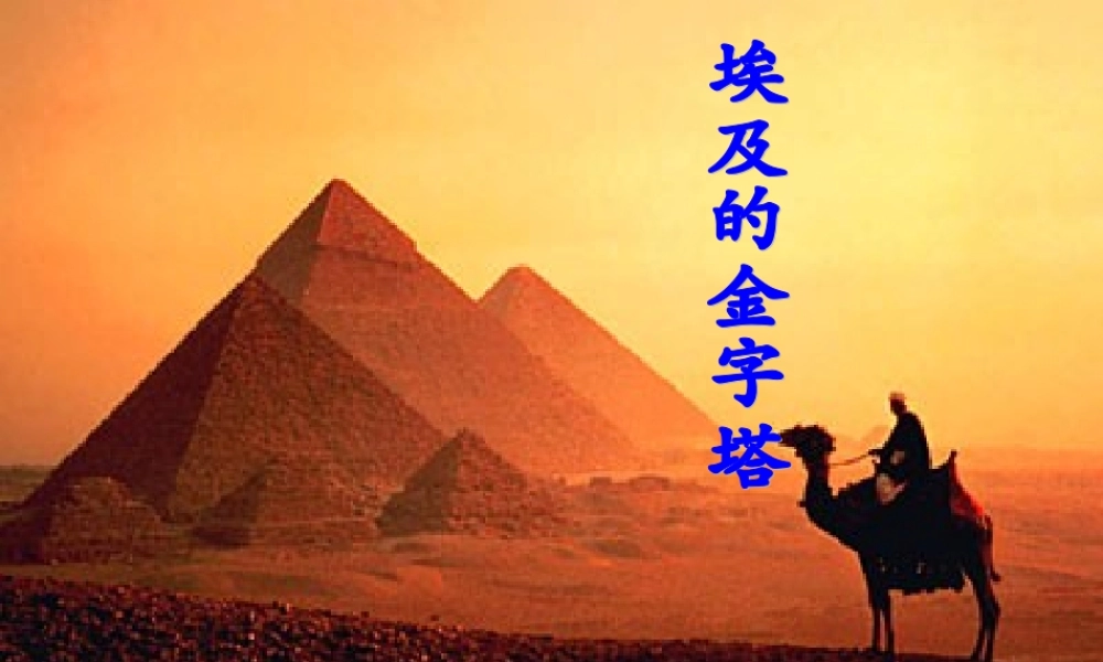 埃圾的金字塔02