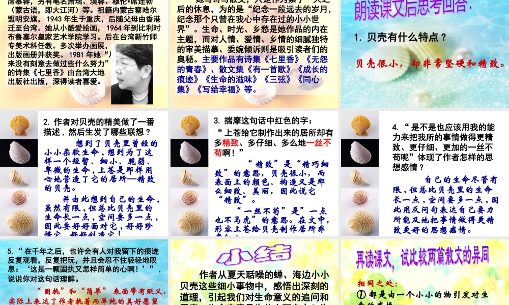新人教版语文七年级上册《短文两篇·蝉·贝壳》教学课件