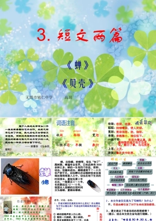 新人教版语文七年级上册《短文两篇·蝉·贝壳》教学课件