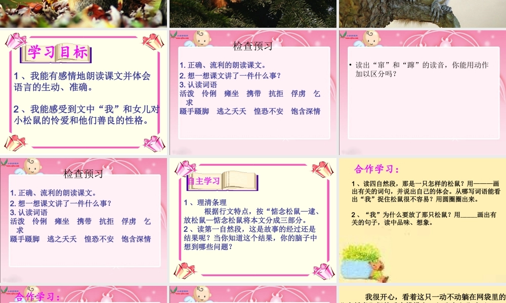 《那只松鼠》课件