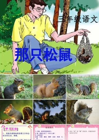 《那只松鼠》课件