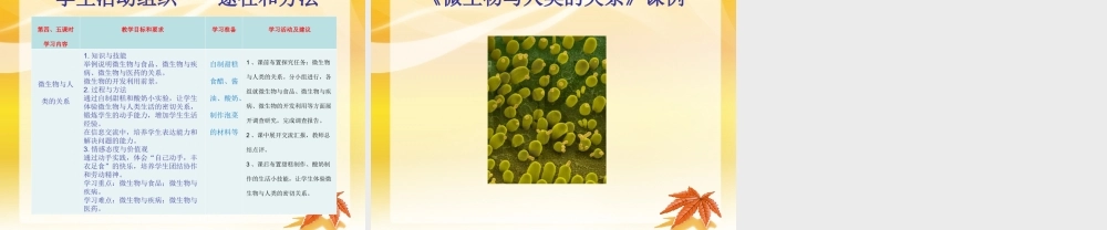 基于单元教学设计的学生活动组织（微生物）