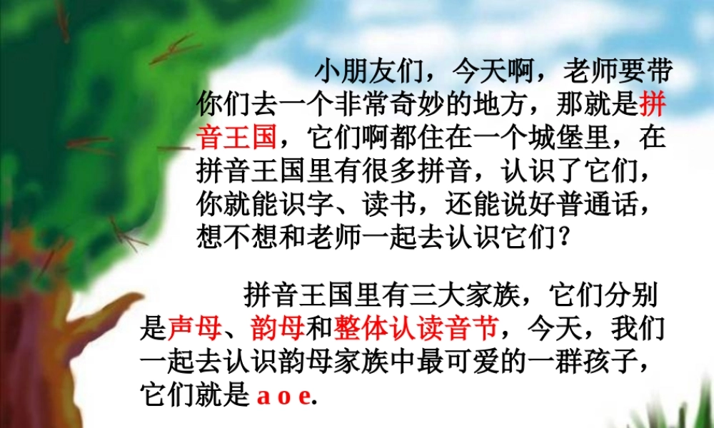 语文拼音aoePPT学前班