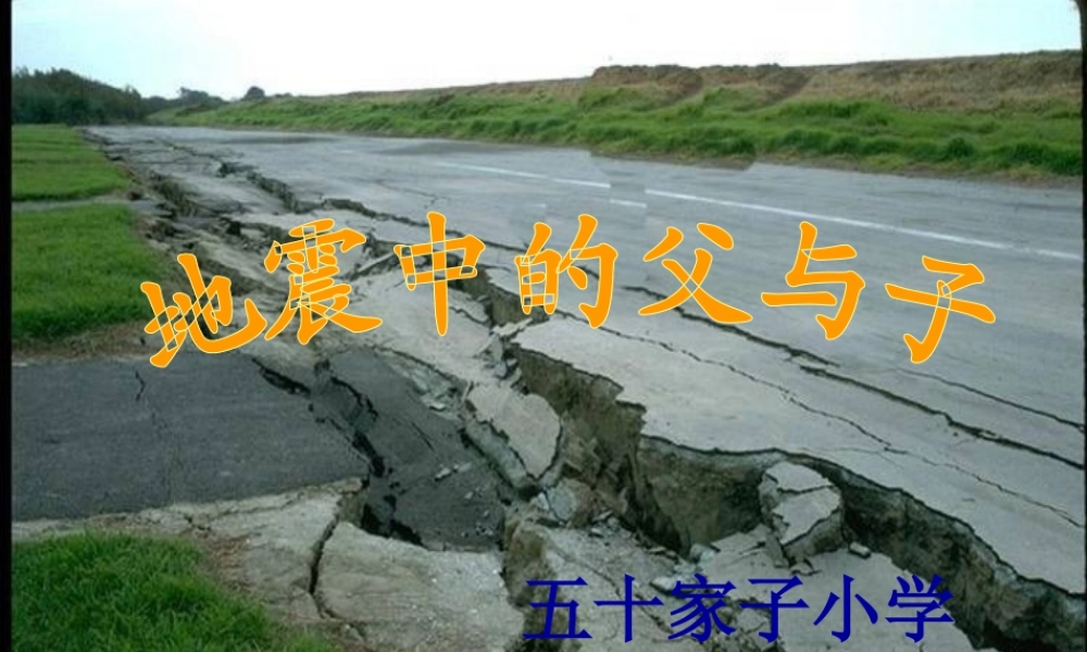 地震中的父与子 (6)