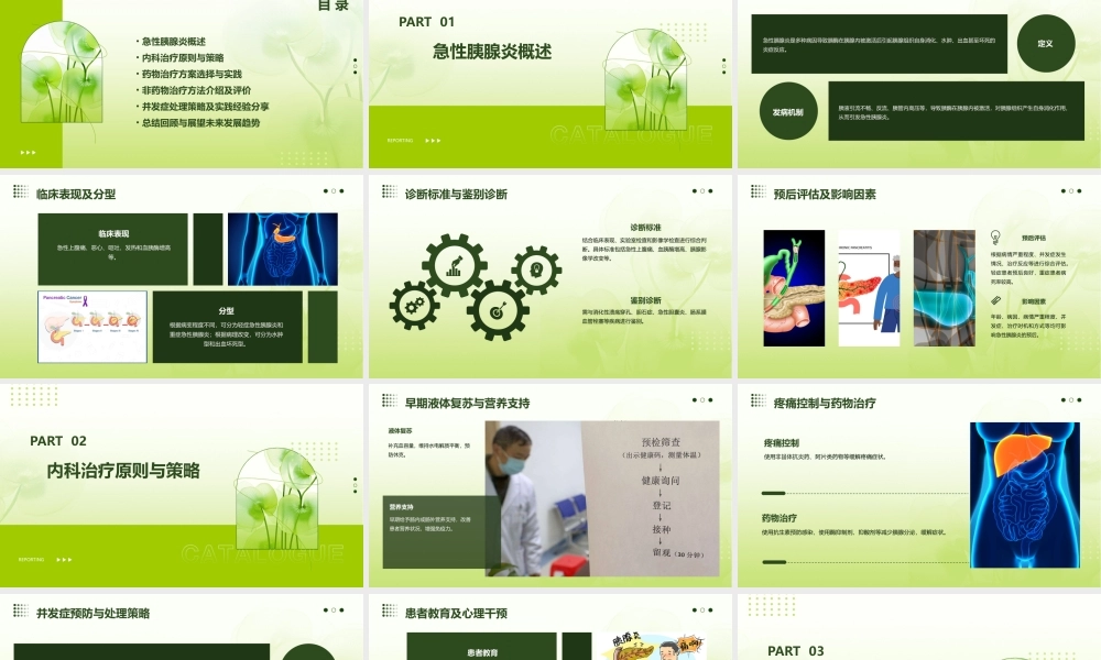 急性胰腺炎的内科治疗与管理