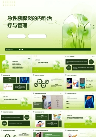 急性胰腺炎的内科治疗与管理