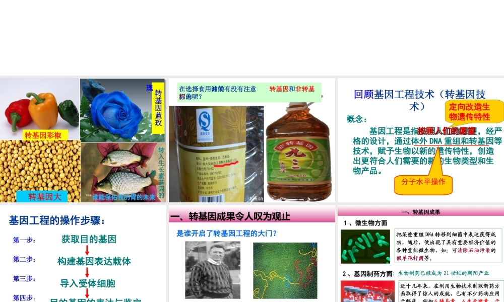 转基因生物的安全性