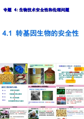 转基因生物的安全性