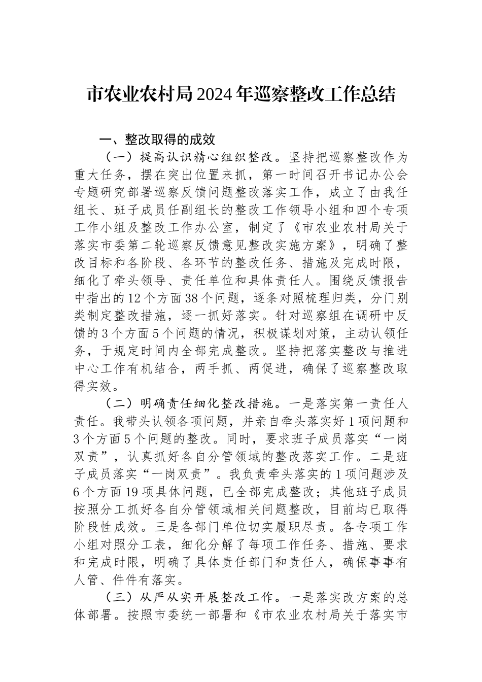 市农业农村局2024年巡察整改工作总结_第1页