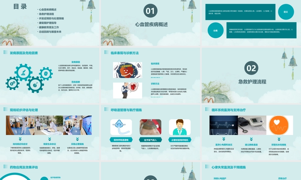 心血管疾病急救护理流程及注意事项讲解