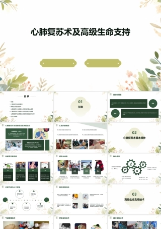 心肺复苏术及高级生命支持