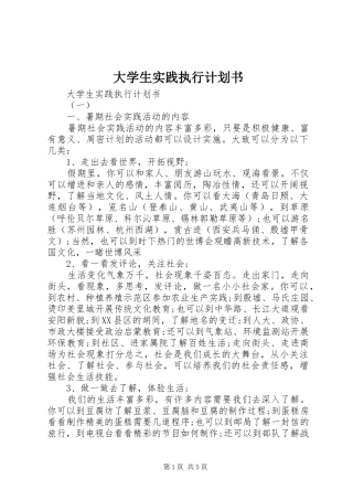 大学生实践执行计划书