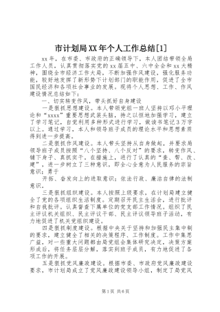 市计划局XX年个人工作总结[1]