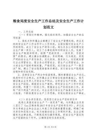 粮食局度安全生产工作总结及安全生产工作计划范文