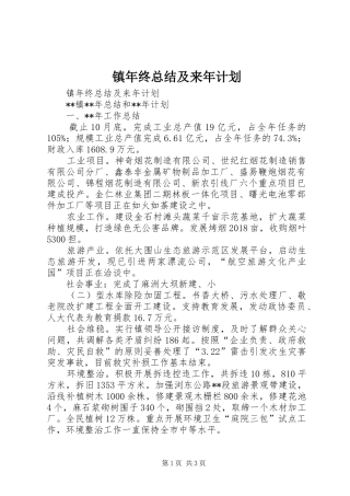 镇年终总结及来年计划